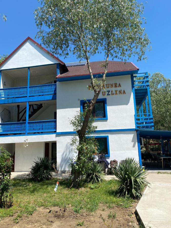 Pensiunea Uzlina Tulcea Ngoại thất bức ảnh